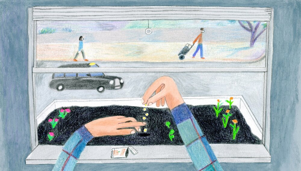 The Tonic Of Gardening In The Coronavirus Quarantine - The New Yorker April 7, 2020